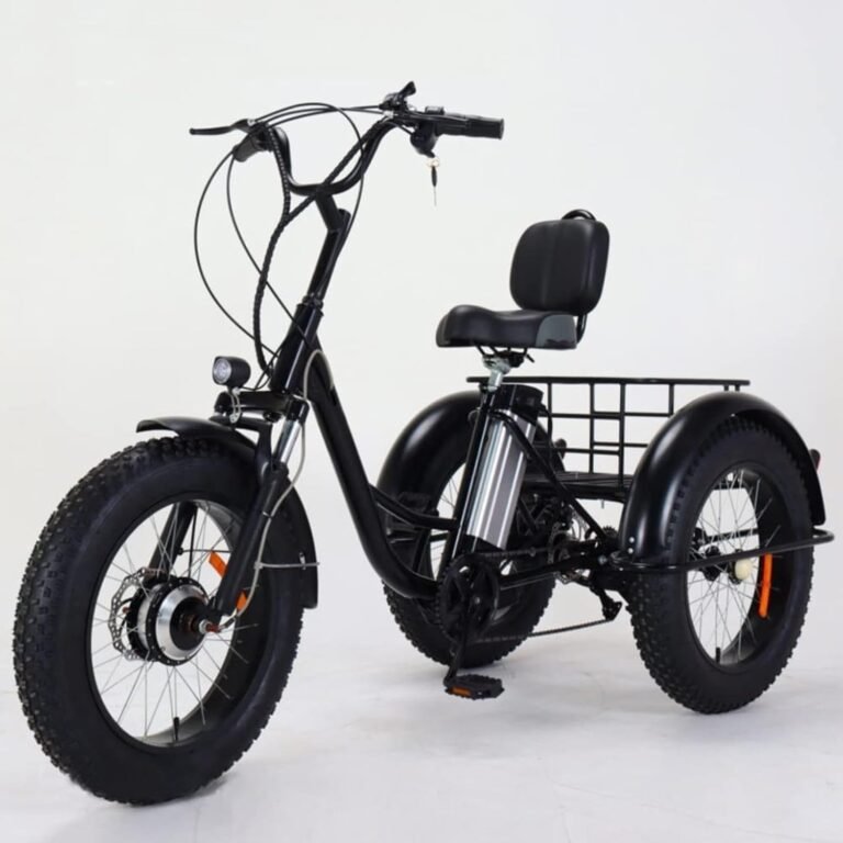 Electric Trike